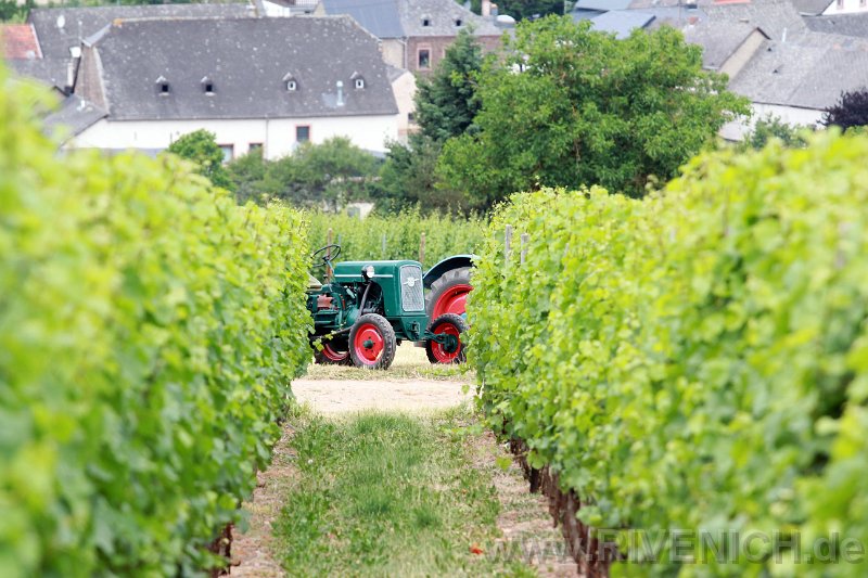 Mittsommerfest 2017 – Bild 115